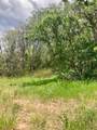 1 Acre Lot Kiwi Ln - Photo 10