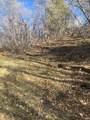 1 Acre Lot Kiwi Ln - Photo 12