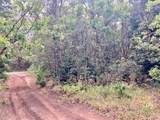 1 Acre Lot Kiwi Ln - Photo 4