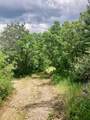 1 Acre Lot Kiwi Ln - Photo 5
