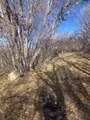 1 Acre Lot Kiwi Ln - Photo 6