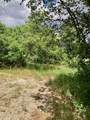 1 Acre Lot Kiwi Ln - Photo 7