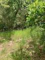1 Acre Lot Kiwi Ln - Photo 8