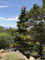 2163 High Cedar View Dr - Photo 12