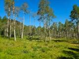  40 Acres Summit Mountain Rd - Photo 1