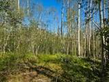  40 Acres Summit Mountain Rd - Photo 10