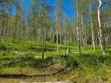 40 Acres Summit Mountain Rd - Photo 11