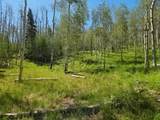 40 Acres Summit Mountain Rd - Photo 12