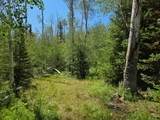  40 Acres Summit Mountain Rd - Photo 13