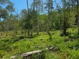  40 Acres Summit Mountain Rd - Photo 14