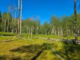  40 Acres Summit Mountain Rd - Photo 15