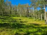  40 Acres Summit Mountain Rd - Photo 17