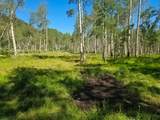  40 Acres Summit Mountain Rd - Photo 18