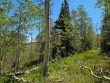  40 Acres Summit Mountain Rd - Photo 19