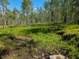  40 Acres Summit Mountain Rd - Photo 2