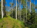  40 Acres Summit Mountain Rd - Photo 20