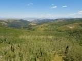  40 Acres Summit Mountain Rd - Photo 23