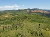  40 Acres Summit Mountain Rd - Photo 24
