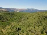 40 Acres Summit Mountain Rd - Photo 25