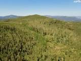  40 Acres Summit Mountain Rd - Photo 27
