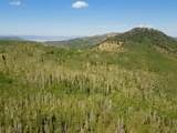  40 Acres Summit Mountain Rd - Photo 28