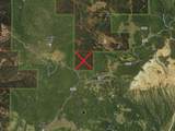  40 Acres Summit Mountain Rd - Photo 3