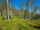  40 Acres Summit Mountain Rd - Photo 4