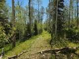  40 Acres Summit Mountain Rd - Photo 5