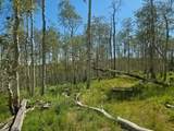  40 Acres Summit Mountain Rd - Photo 6