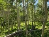  40 Acres Summit Mountain Rd - Photo 9
