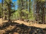 105 Meadow Dr - Photo 39