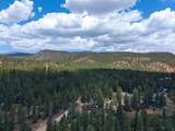 105 Meadow Dr - Photo 46