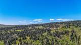 726 Skyview Ln - Photo 32