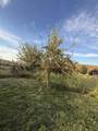 596 Westfield Rd - Photo 9