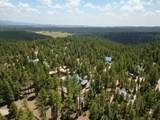 1525 Henry Rd - Photo 47