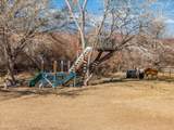 2911 Washington Dam Rd - Photo 94