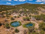  Rusty Nail Ranch - Photo 11