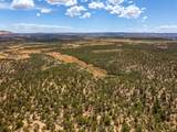  Rusty Nail Ranch - Photo 12