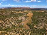  Rusty Nail Ranch - Photo 14