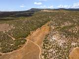  Rusty Nail Ranch - Photo 16