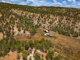  Rusty Nail Ranch - Photo 18