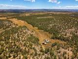  Rusty Nail Ranch - Photo 19