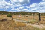  Rusty Nail Ranch - Photo 4