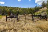  Rusty Nail Ranch - Photo 7