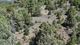 2699 Oak Tree Trail - Photo 6
