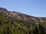 681 Hwy 143 - Photo 19