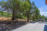 2450 Oak Tree Dr - Photo 37