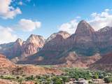 18.9 Acres Zion Park Blvd - Photo 20