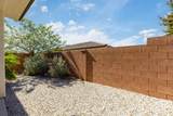 3107 Lavatera Dr - Photo 28