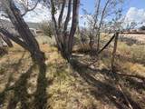 3421 5300 - Photo 81